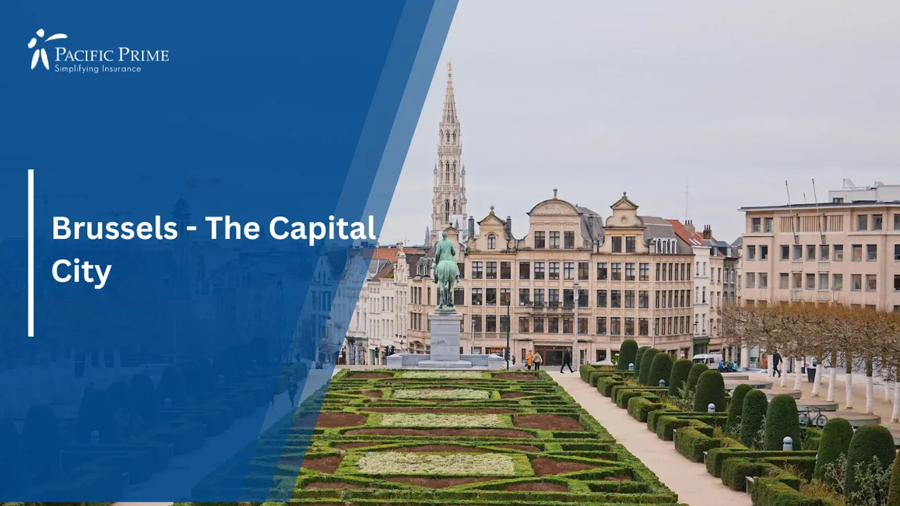 Image of Green Grass Field Beside A Brown Concrete Building In Brussels with text overlay of "Brussels - The Capital City"