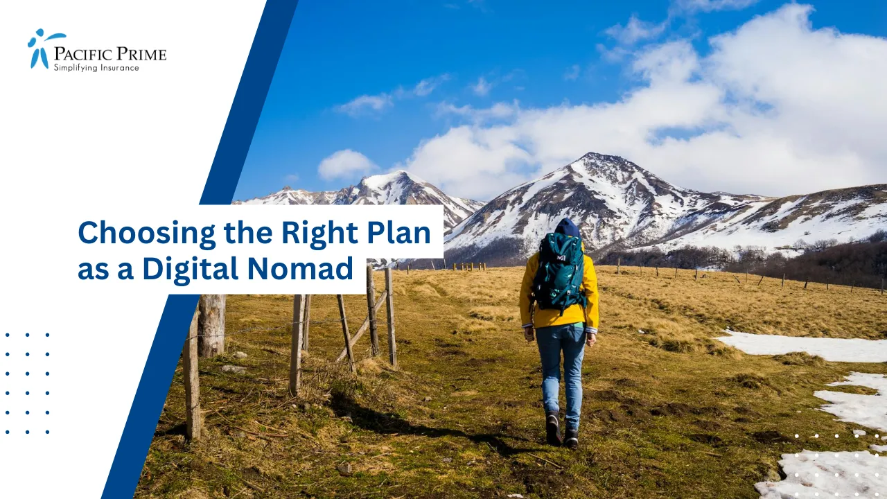Image of Hiker With Backpack Heading Toward Snowy Mountains On A Sunny Day with text overlay of "Choosing the Right Plan as a Digital Nomad"