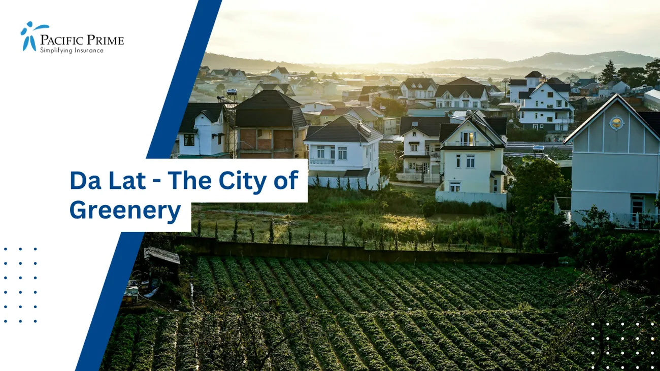 Image of Houses Beside A Field In Da Lat, Vietnam with text overlay of "Da Lat - The City of Greenery"