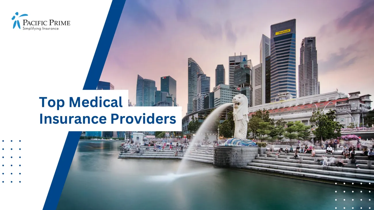 Image of Iconic Merlion Fountain In Singapore with text overlay of "Top Medical Insurance Providers"