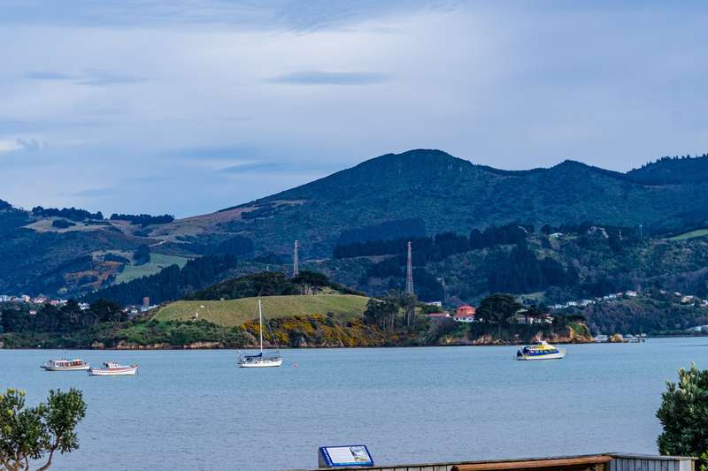 Idyllic Portobello, Dunedin, NZ