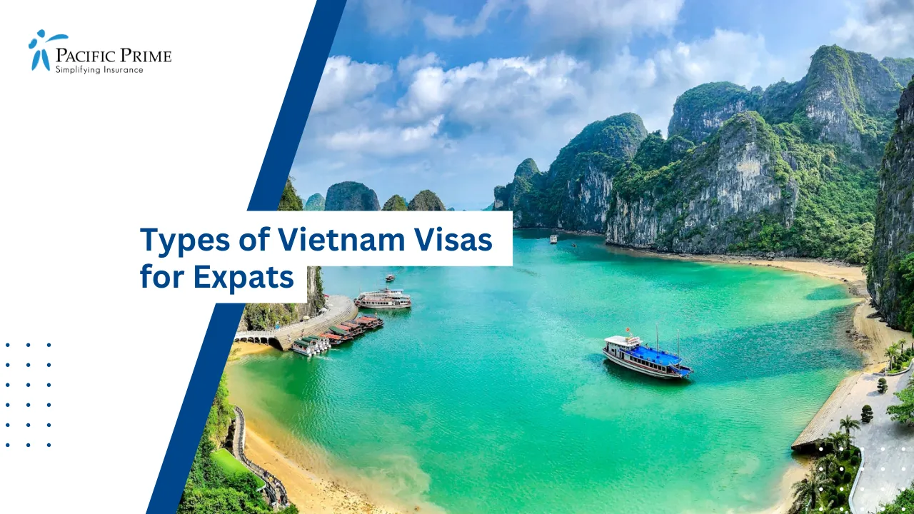 Image of Limestone Islands Scattered Across The Emerald Waters Of Ha Long Bay with text overlay of "Types of Vietnam Visas for Expats"