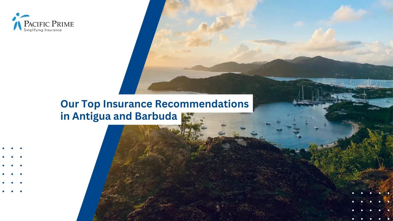 Image of Lush Green Field Beside Calm Water Under Daylight, Antigua And Barbuda with text overlay of "Our Top Insurance Recommendations in Antigua and Barbuda"
