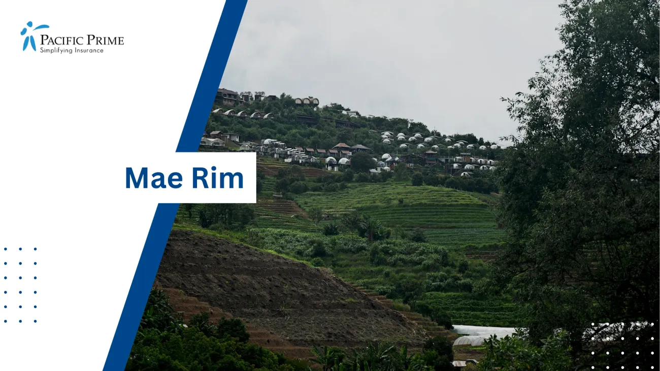 Image of Lush Green Hillside With Abundant Trees In Mae Rim, Chiang Mai, Thailand with text overlay of "Mae Rim"