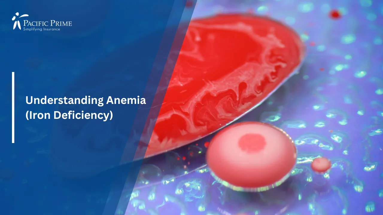 Image of Microscopic View Of Red And White Blood Cells In Blood Vessels with text overlay of "Understanding Anemia (Iron Deficiency)"