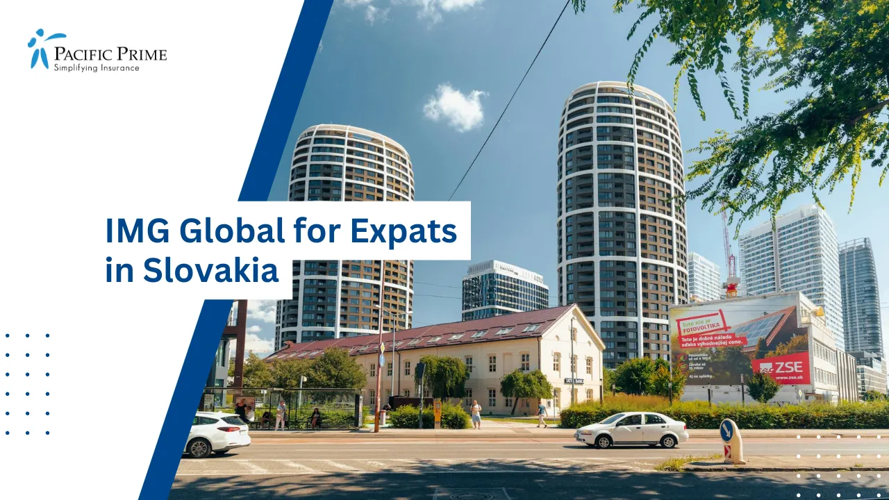 Image of Modern Cityscape View Of Bratislava, Slovakia with text overlay of "IMG Global for Expats in Slovakia"