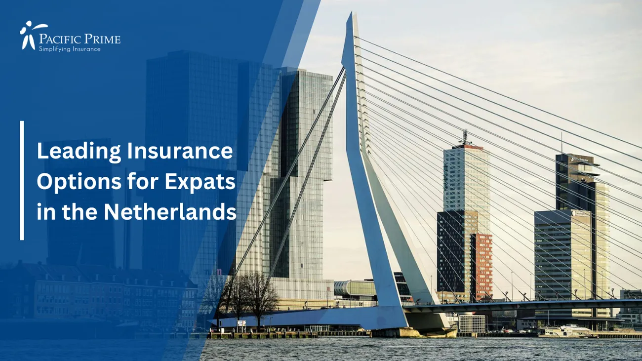 Image of Modern Urban Architecture Along The Waterfront In Rotterdam, ZH, Netherlands with text overlay of "Leading Insurance Options for Expats in the Netherlands"