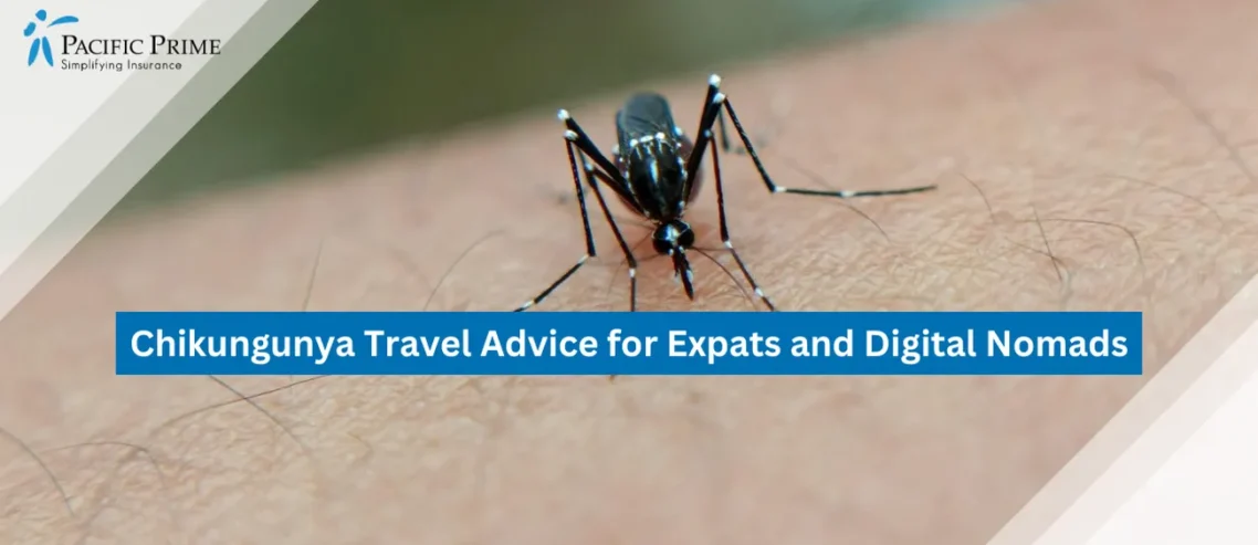 Image of Mosquito Biting Human Skin Close-up with text overlay of "Chikungunya Travel Advice for Expats and Digital Nomads"