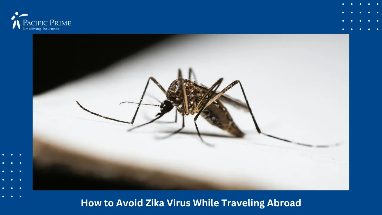 Image of Mosquito Resting On A White Surface In Close-up View with text overlay of "How to Avoid Zika Virus While Traveling Abroad"