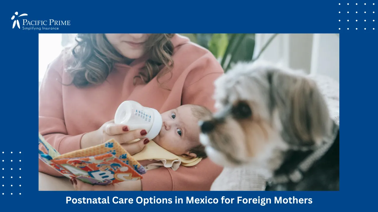 Image of Mother Feeding Newborn While Dog Rests Nearby with text overlay of "Postnatal Care Options in Mexico for Foreign Mothers"