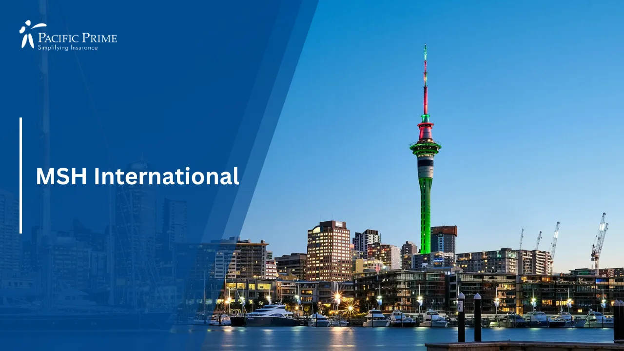 Image of Night View Of Auckland City Skyline With Lights In New Zealand with text overlay of "MSH International"