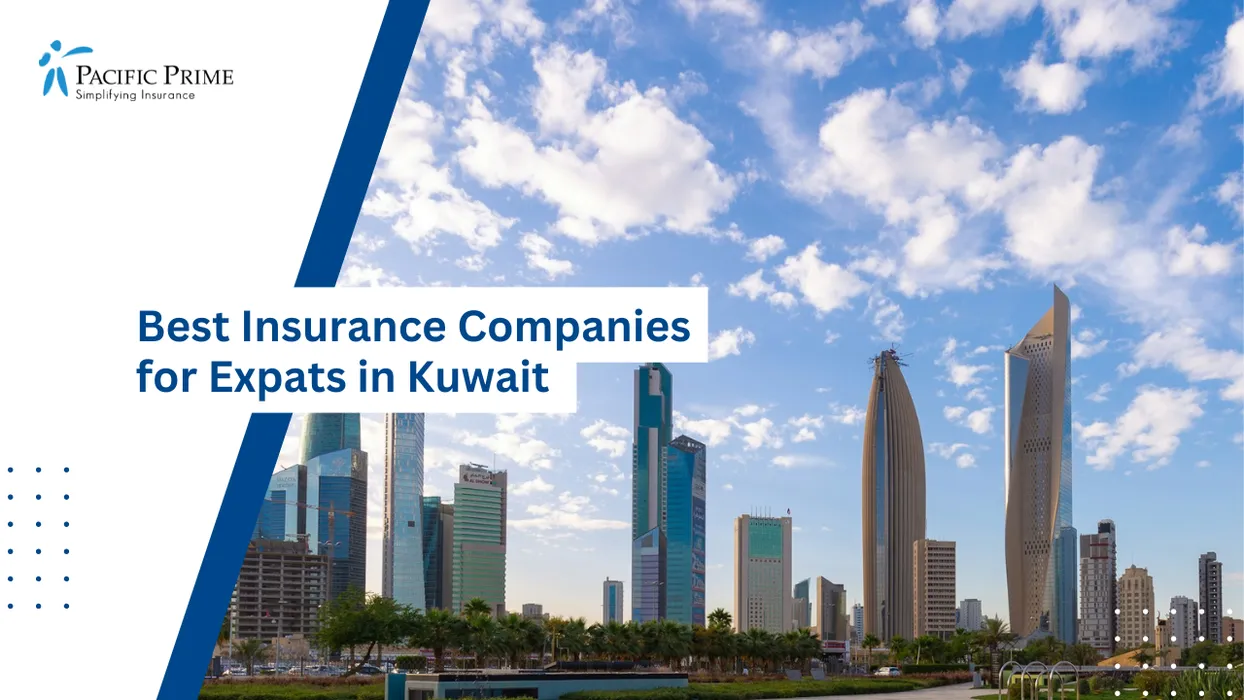 Image of Overcast Skyline View From Al Shaheed Park Overlooking Kuwait City Urban District with text overlay of "Best Insurance Companies for Expats in Kuwait"