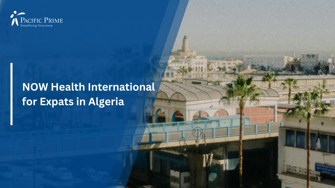Image of Panoramic City Street With Footbridge In Algiers, Algeria with text overlay of "Top Insurance Companies in Algeria for Expats"
