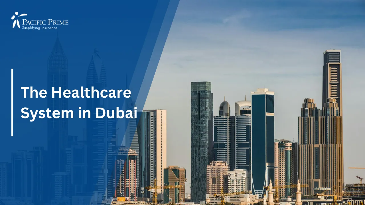 Image of Panoramic View Of Dubai City Skyline With Modern High-rise Buildings with text overlay of "The Healthcare System in Dubai"