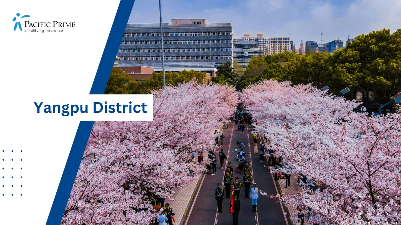 Image of People Strolling Along A Tree-lined Street At Tongji University Campus In Shanghai with text overlay of "Yangpu District"