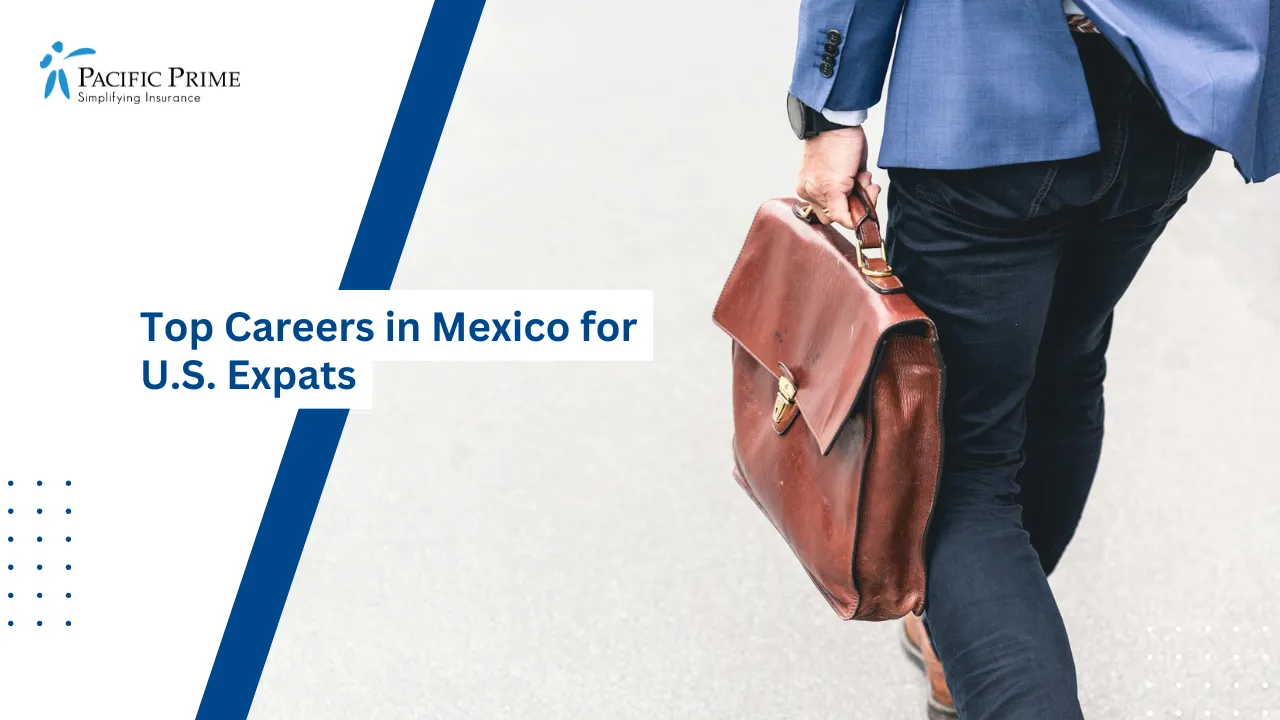 Image of Person Walking With Brown Leather Briefcase In Hand with text overlay of "Top Careers in Mexico for U.S. Expats"