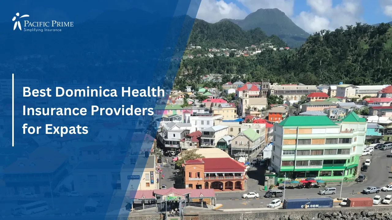 Image of Pier Leading To The Coast Of Dominica Island with text overlay of "Best Dominica Health Insurance Providers for Expats"