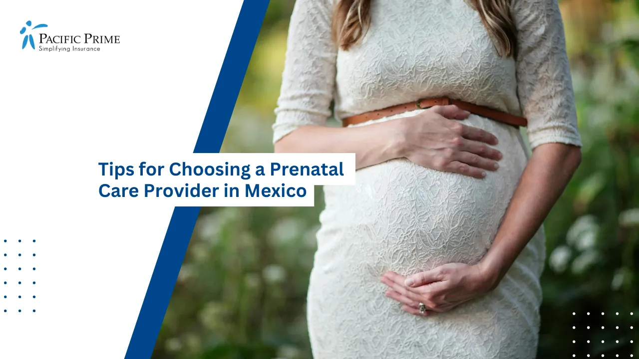 Image of Portrait Of Pregnant Woman Posing For Maternity Photoshoot with text overlay of "Tips for Choosing a Prenatal Care Provider in Mexico"