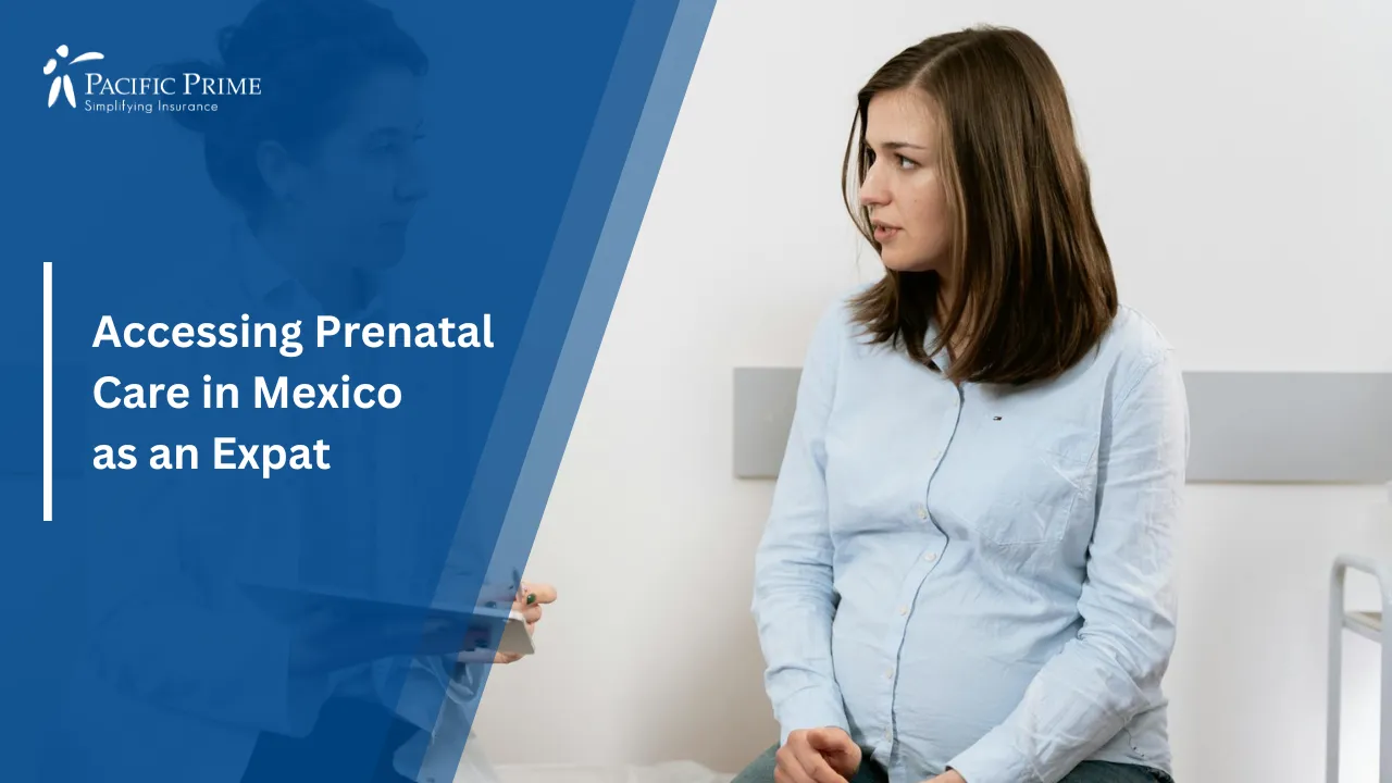 Image of Pregnant Woman Meeting With Female Doctor In A Clinic Consultation Room with text overlay of "Accessing Prenatal Care in Mexico as an Expat"