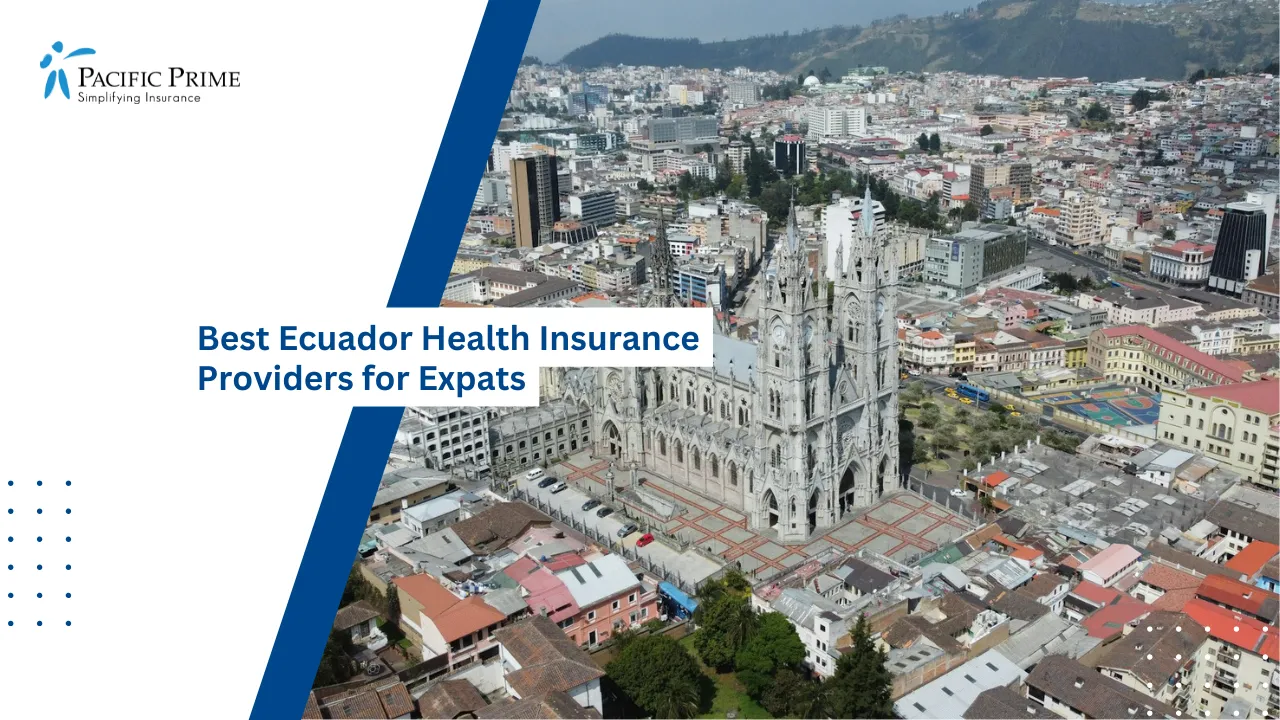 Image of Quito Cityscape With Basílica Del Voto Nacional with text overlay of "Best Ecuador Health Insurance Providers for Expats"
