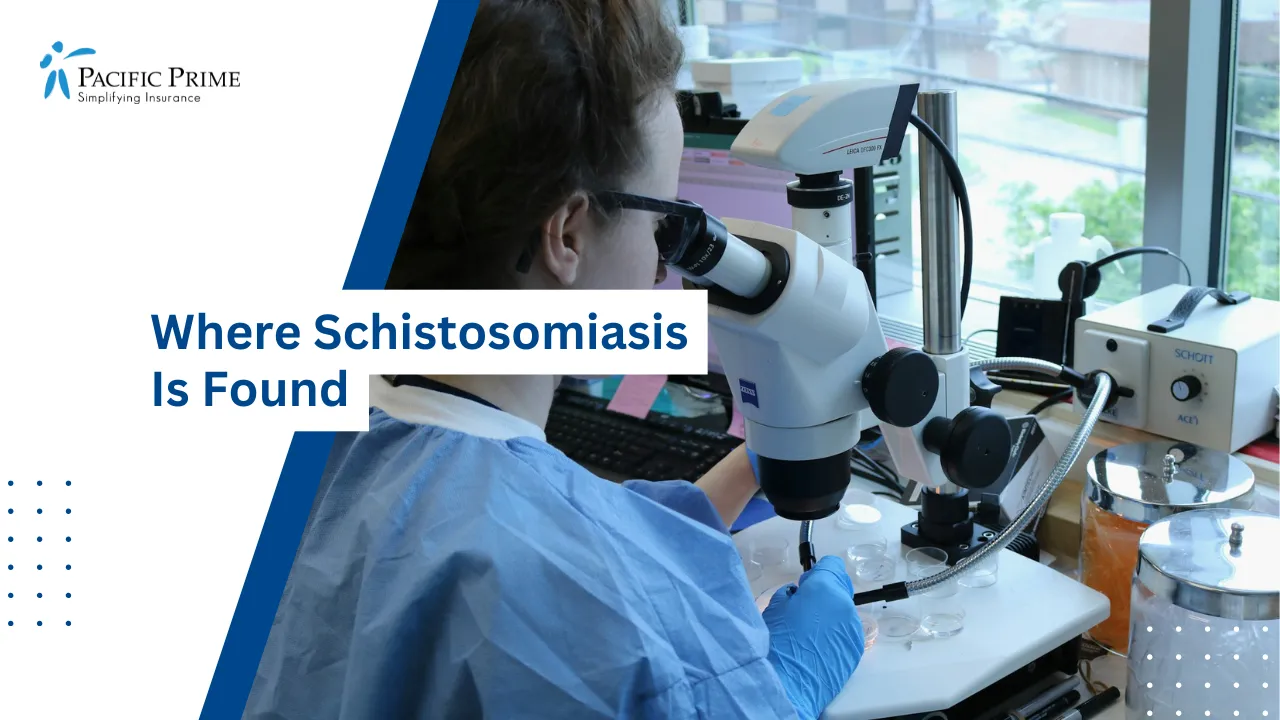 Image of Researcher Examining Samples Under A Microscope with text overlay of "Where Schistosomiasis Is Found"