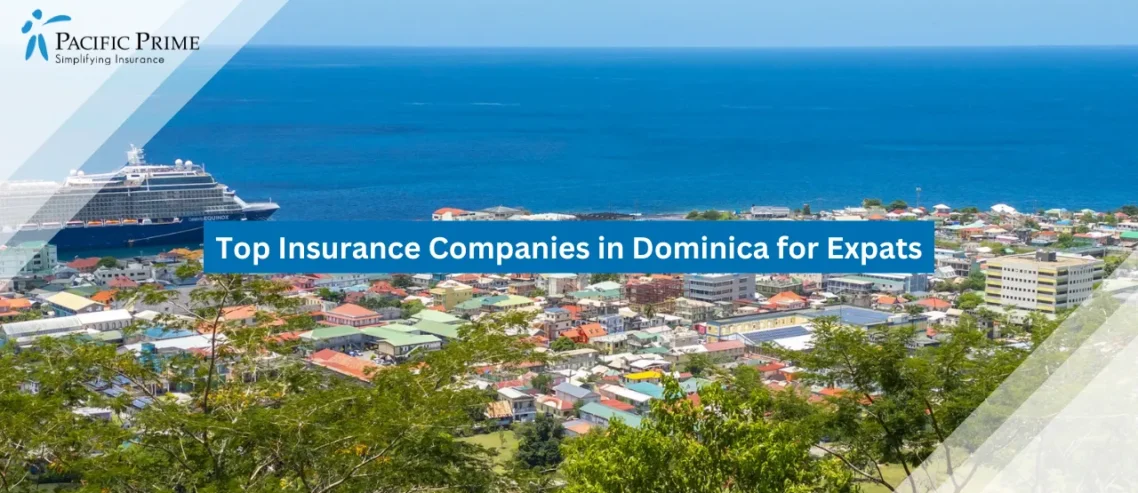 Image of Scenic City View Of Roseau In Dominica with text overlay of "Top Insurance Companies in Dominica for Expats"