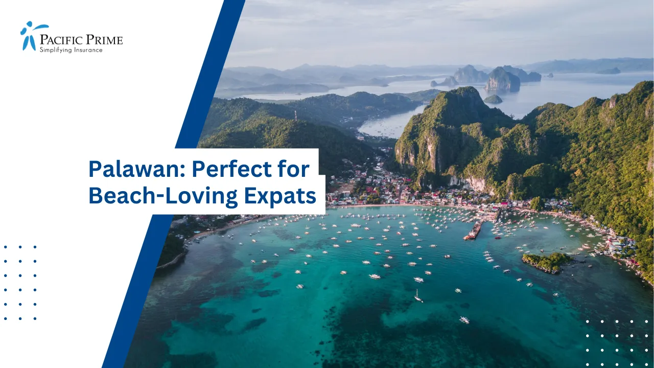 Image of Scenic Coastal View Of El Nido, Palawan, Philippines With Clear Blue Waters with text overlay of "Palawan: Perfect for Beach-Loving Expats"