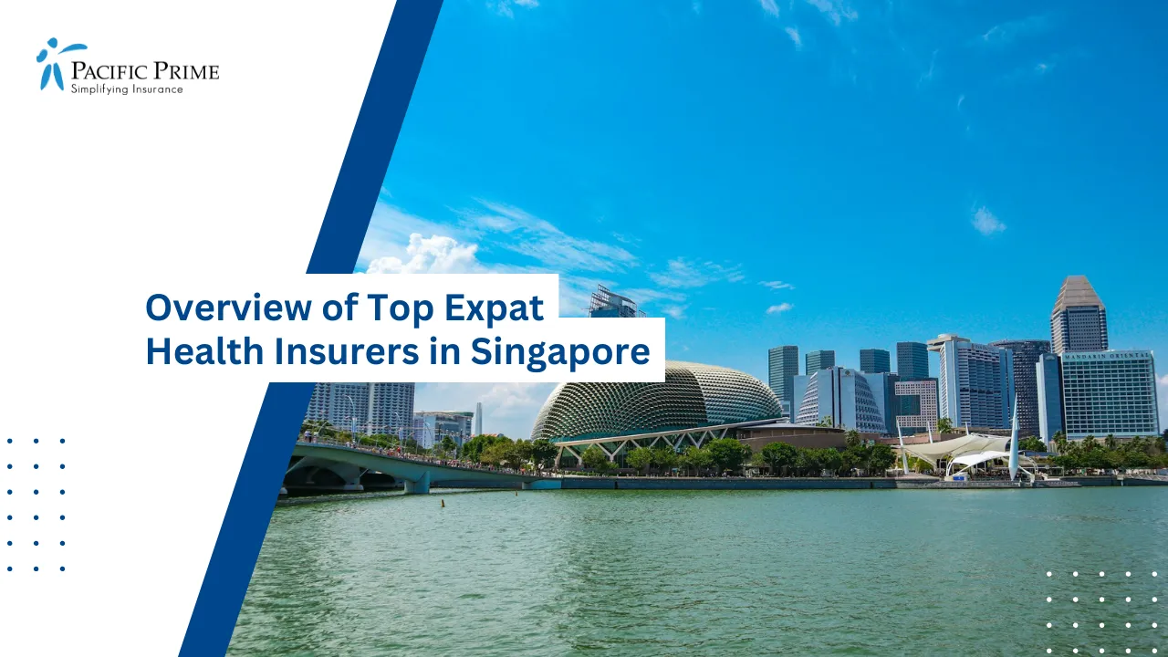 Best Insurance Providers in Singapore for Expats