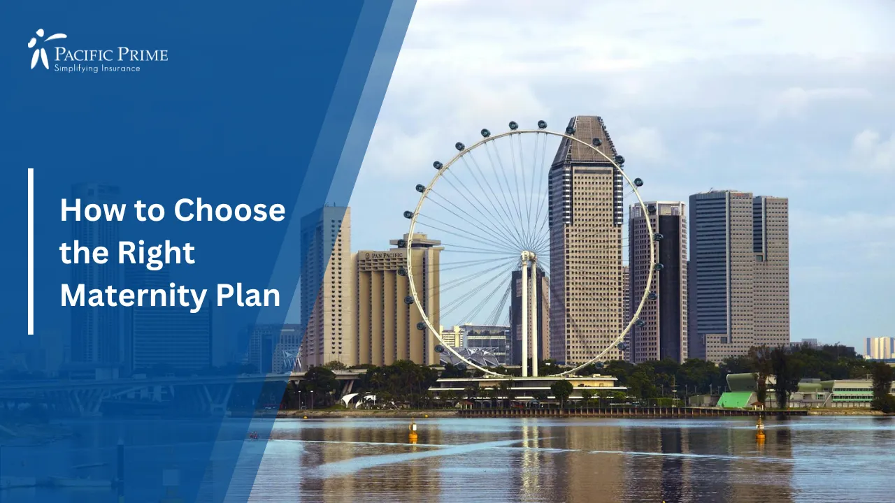 Image of Singapore Skyline With Singapore Flyer And Waterfront View with text overlay of "How to Choose the Right Maternity Plan"