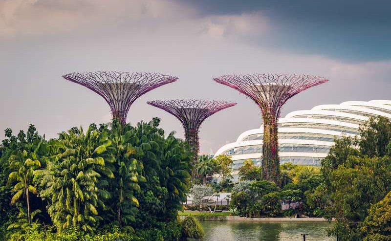 Singapore's Gardens By The Bay: Iconic Landmark