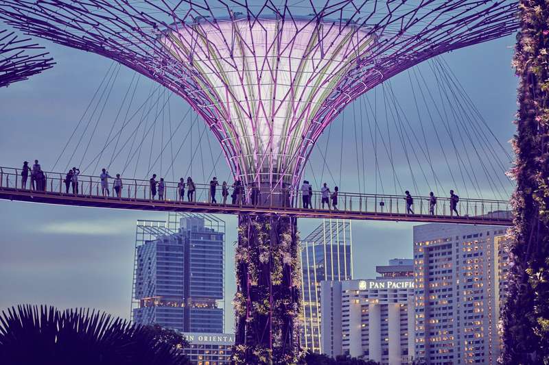 Sky Bridge Workers Near Supertree & Ritz Carlton, Singapore