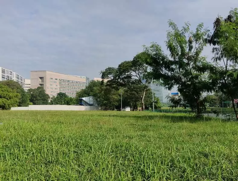 Tanglin Halt Road, Singapore Street