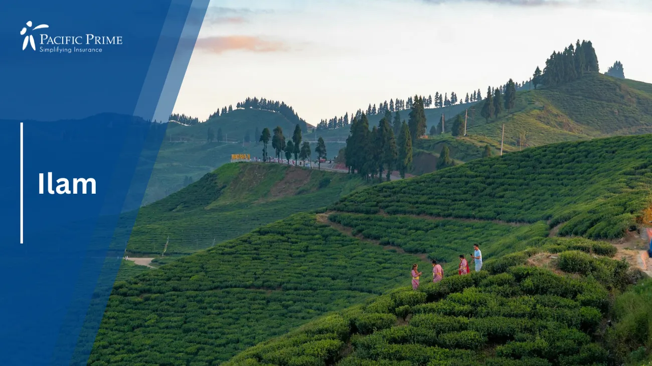 Image of Tea Plantations On Rolling Hills In Ilam Under A Sunset Sky with text overlay of "Ilam"