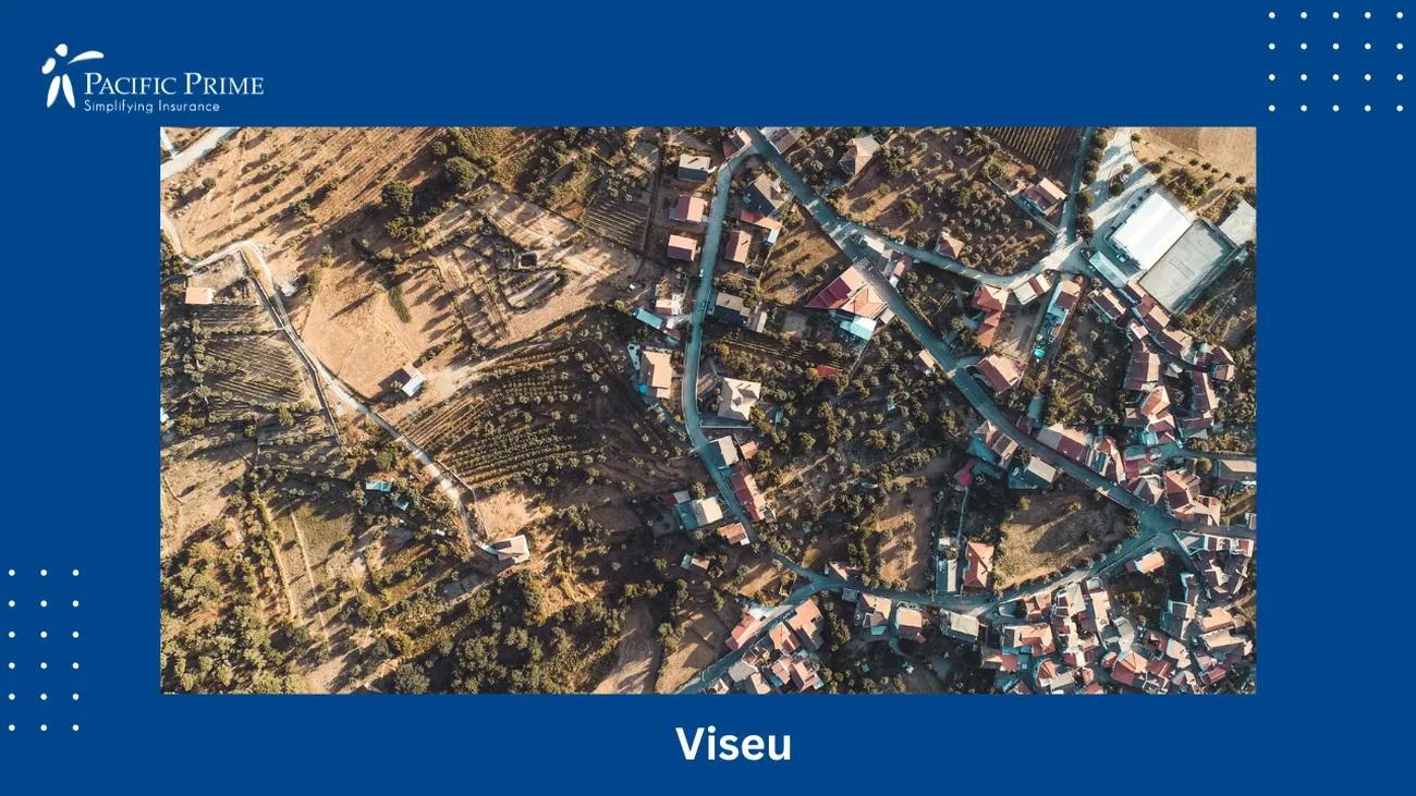 Image of Tibaldinho, Viseu, Portugal: Lush, Green Trees with text overlay of "Viseu"