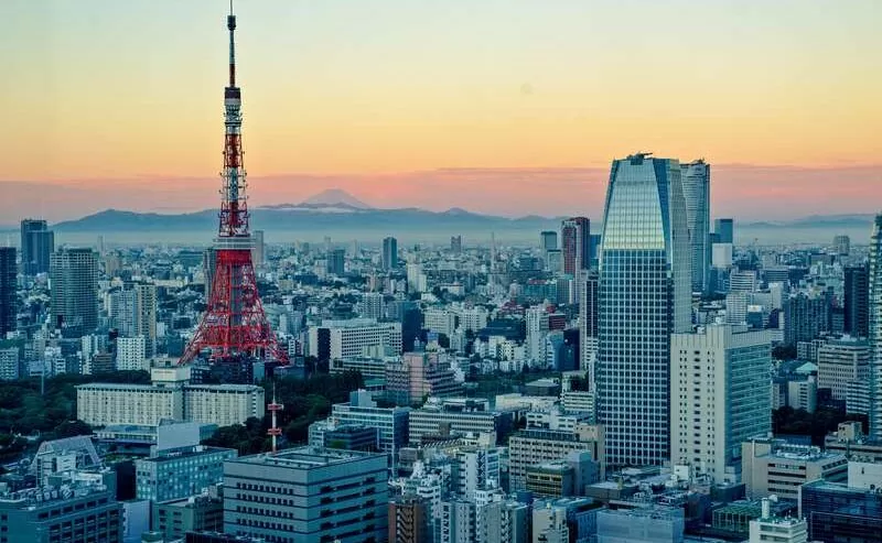 Tokyo and Mt Fuji: Breathtaking Panorama