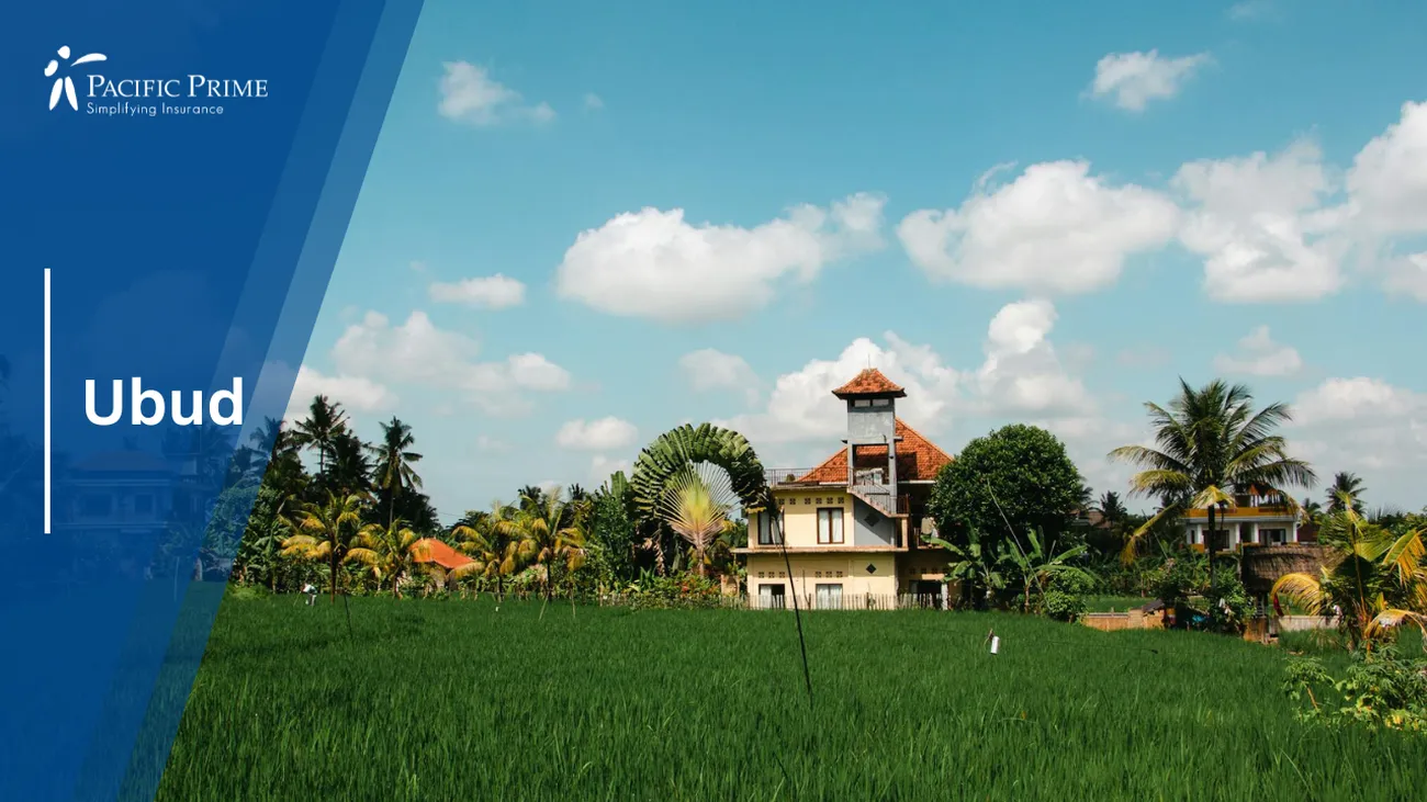 Image of Ubud Scene With Green Cropland And Houses In The Background with text overlay of "Ubud"