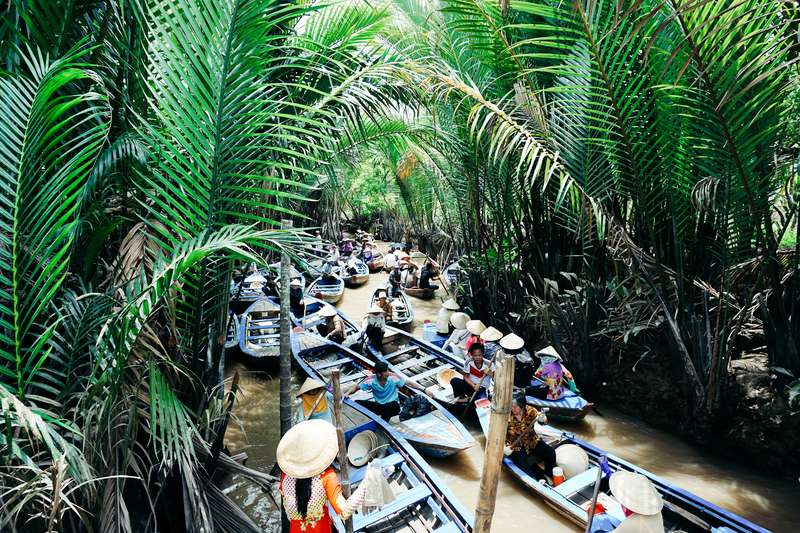 Untamed Mekong Delta: A Different Perspective
