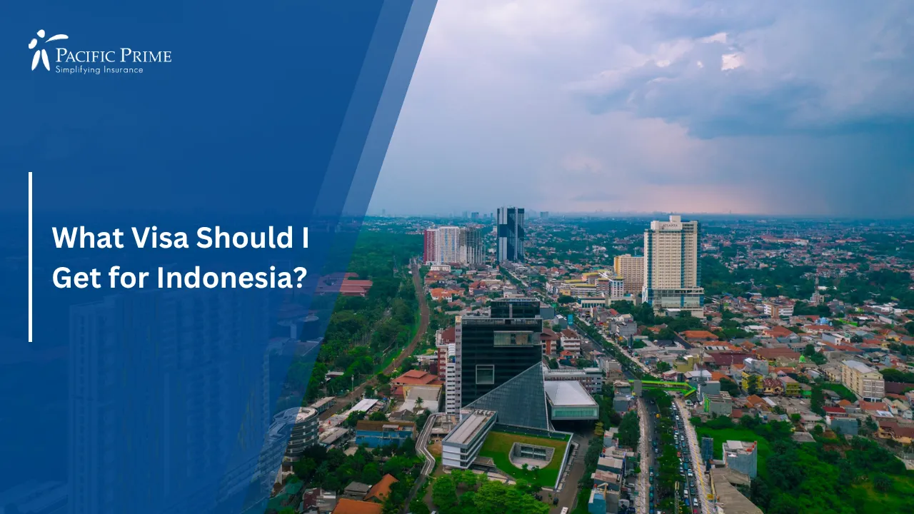 Image of Urban Landscape Along Margonda Raya In Pondok Cina, Depok, West Java with text overlay of "What Visa Should I Get for Indonesia?"