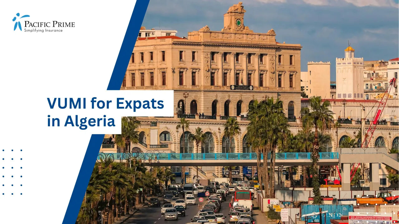 Image of Vibrant Cityscape View Of Algiers, Algeria with text overlay of "Top Insurance Companies in Algeria for Expats"