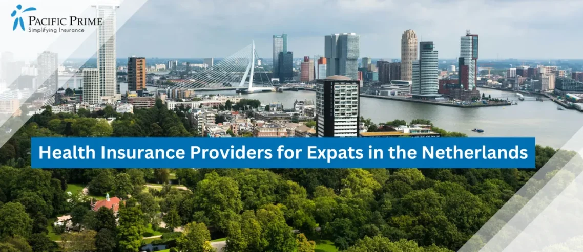 Image of View Of Rotterdam City With A River Running Through It, Netherlands with text overlay of "IMG Global: Insurance Plans for Expats in The Netherlands"