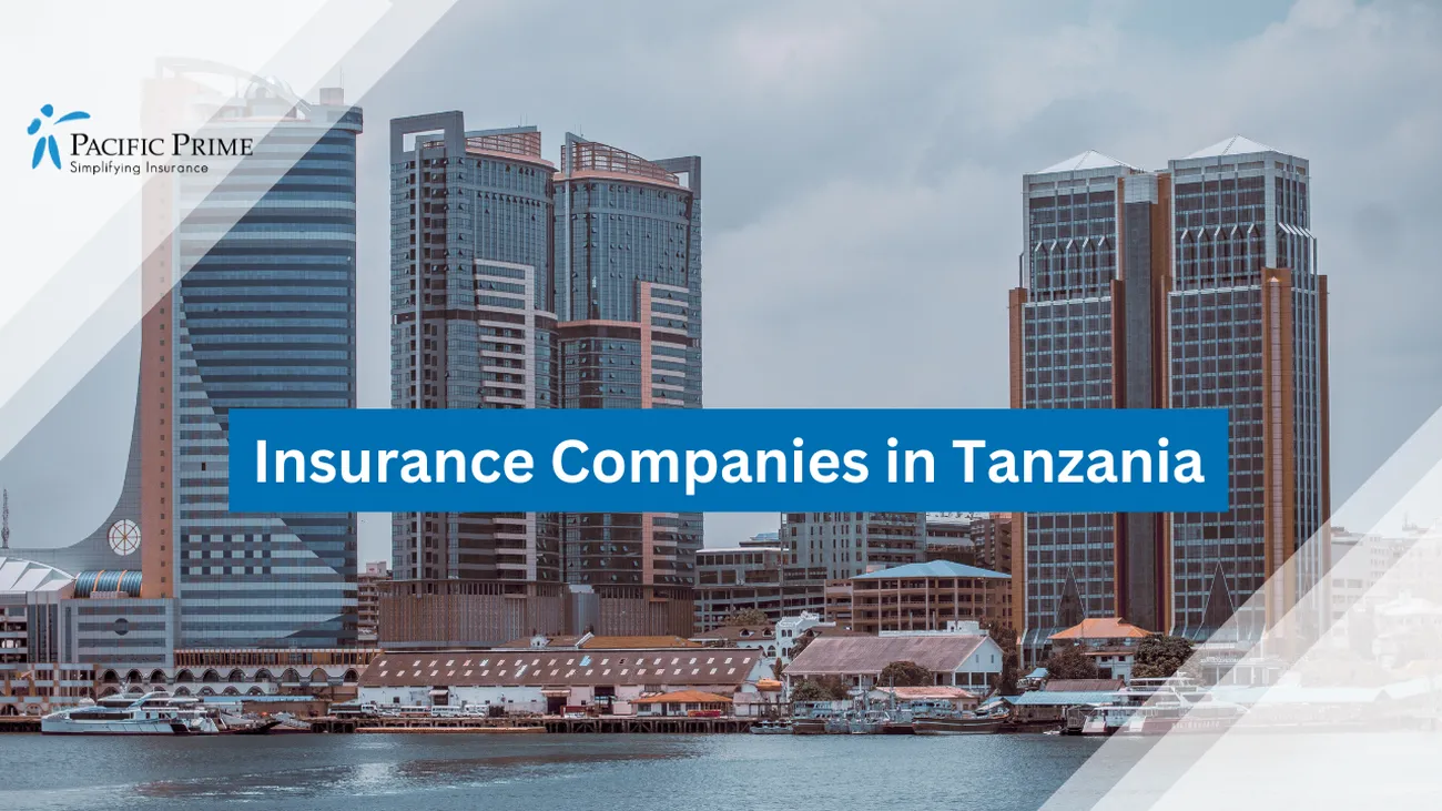 Top Health Insurance Companies in Tanzania
