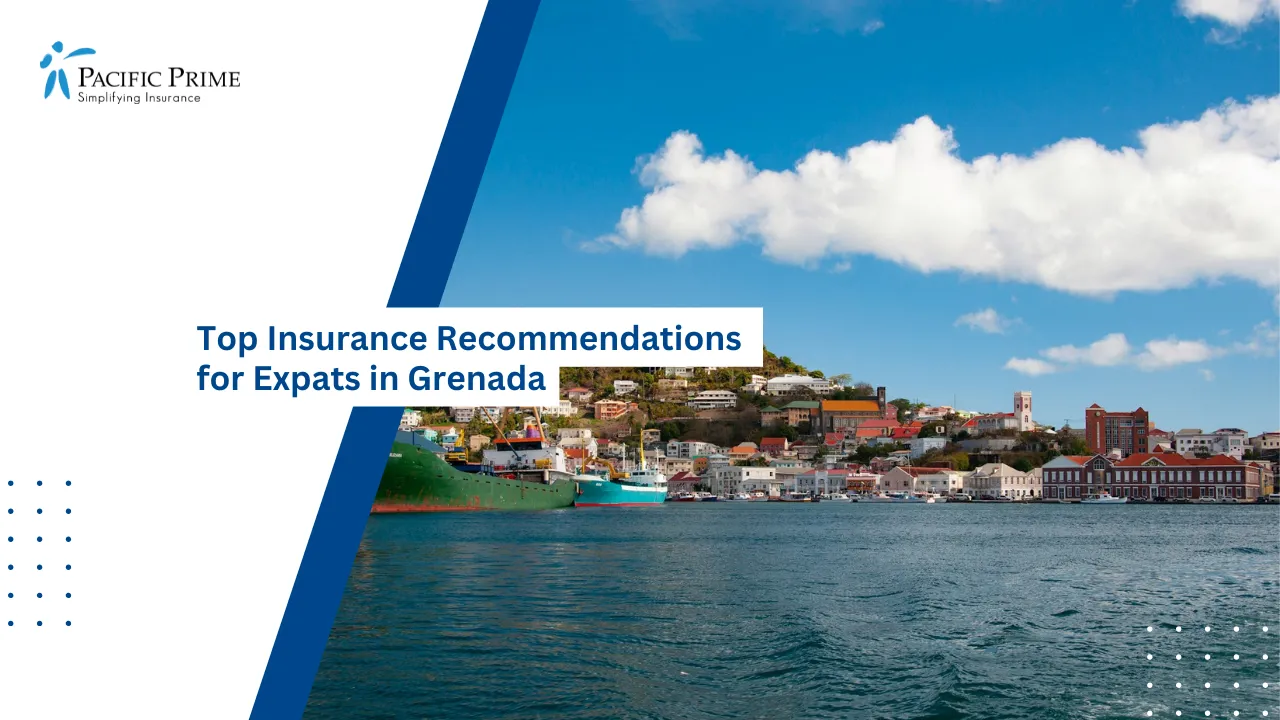 Image of Waterfront View Of Saint George City Buildings In Grenada with text overlay of "Top Insurance Recommendations for Expats in Grenada"
