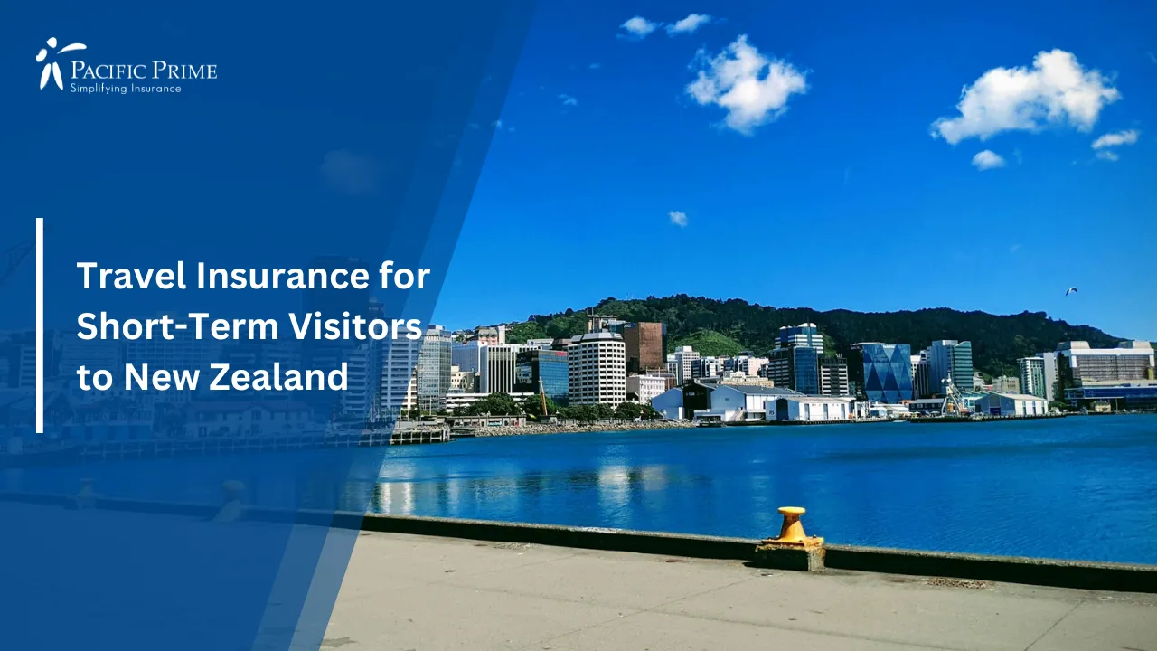 Image of Wellington Cityscape With Buildings By The Waterfront with text overlay of "Travel Insurance for Short-Term Visitors to New Zealand"