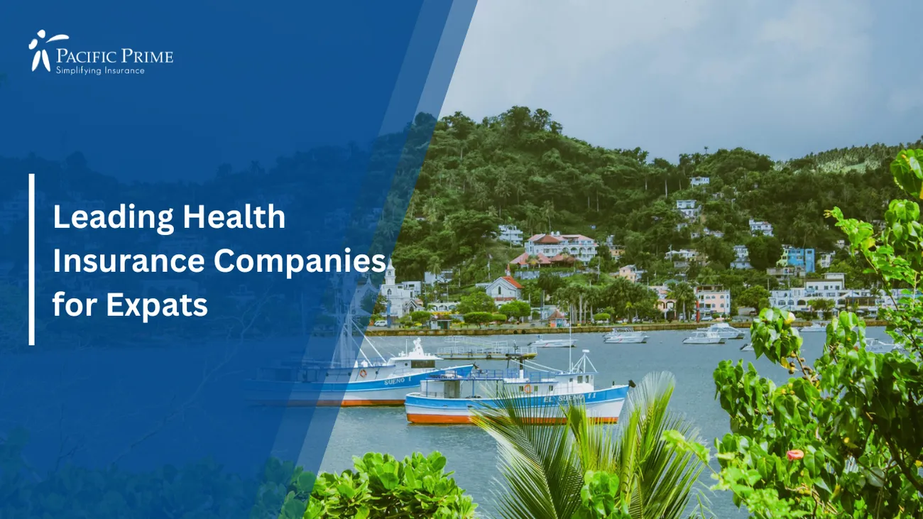Image of White And Blue Boat On Water Near Green Mountain, Samana, Dominican Republic with text overlay of "Leading Health Insurance Companies for Expats"