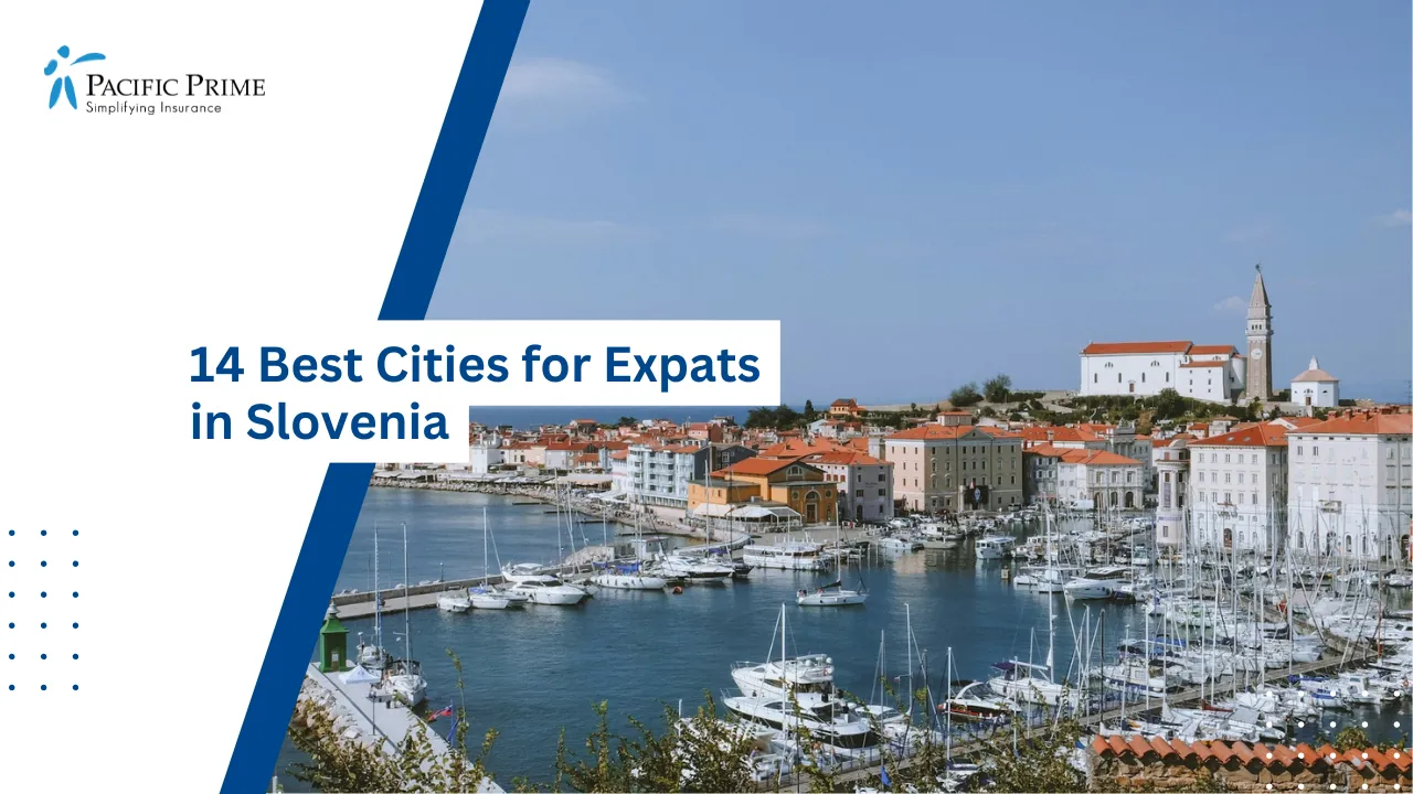 Image of White And Brown Waterfront Buildings Lining The Coast In Piran, Slovenia with text overlay of "14 Best Cities for Expats in Slovenia"