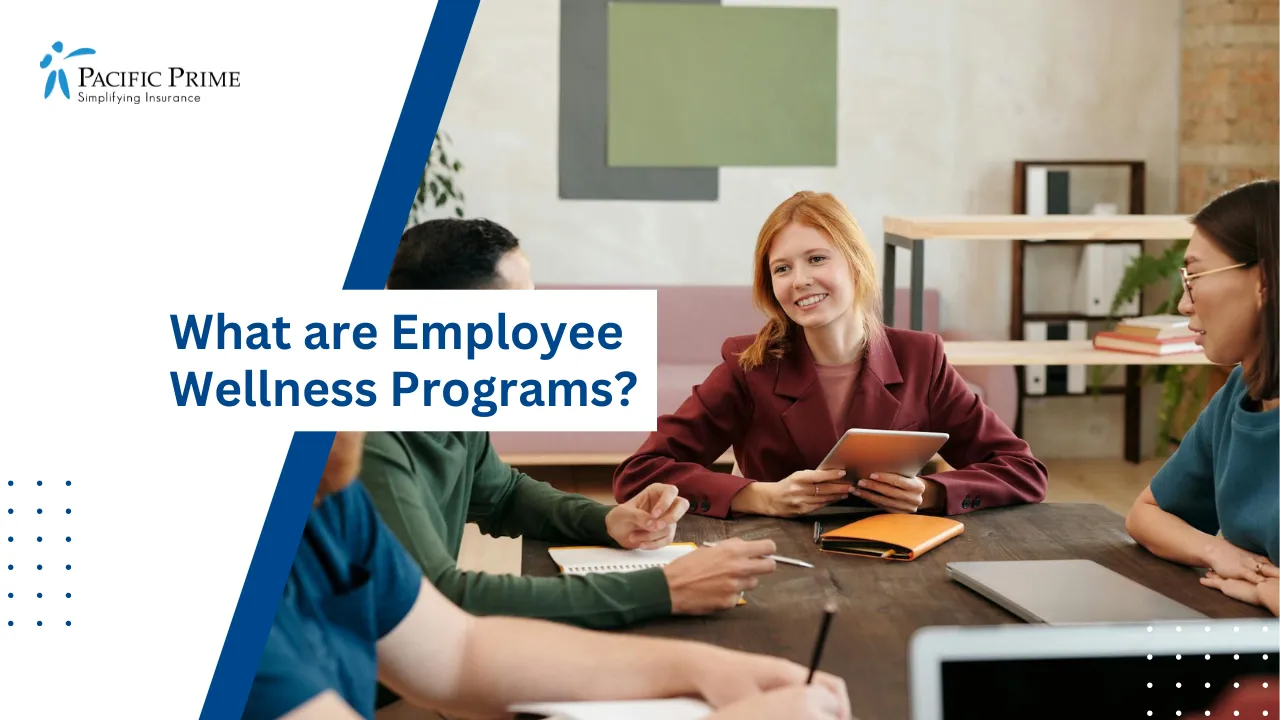 Image of Young Professionals In Discussion During A Team Meeting In Bright Office with text overlay of "What are Employee Wellness Programs?"